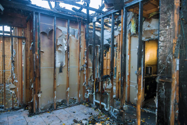 Professional Smoke Damage Removal technician working in Jamestown, CA
